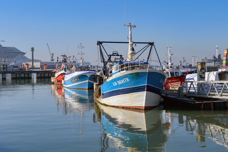 Traditionelle Fischerboote im Hafen