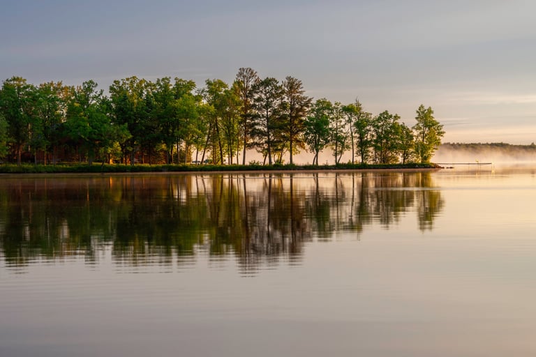 Bäume spiegeln sich im ruhigen See an einem Sommermorgen
