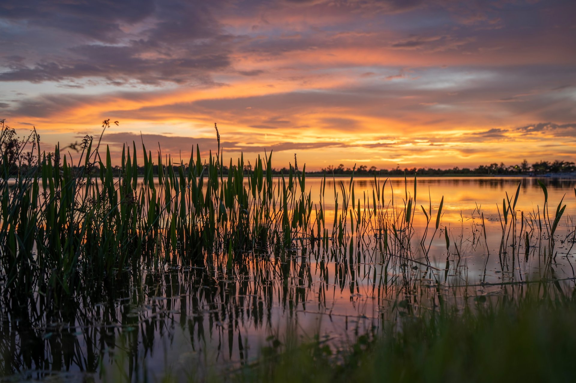 See bei Sonnenuntergang in ruhiger Natur