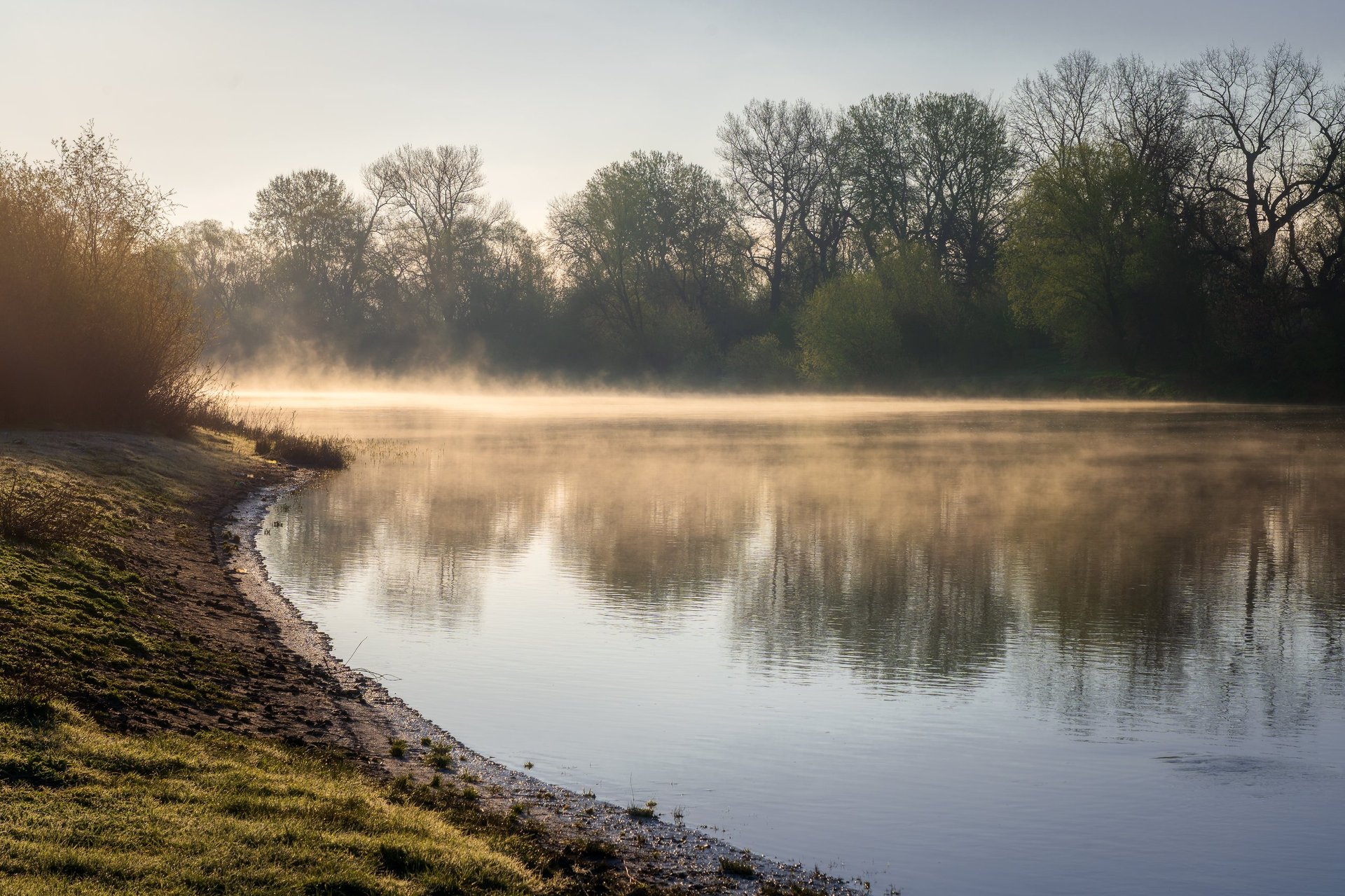Fluss im Morgennebel mit Bäumen und Reflexionen