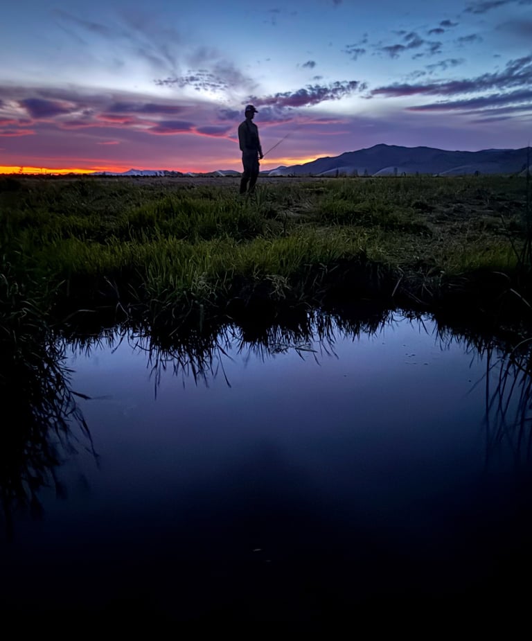 Forellenangeln am Fluss