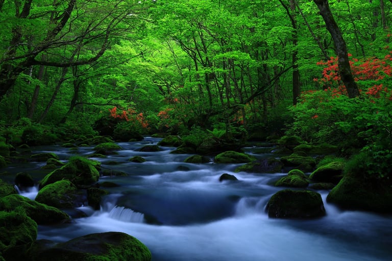 Klarer Bergbach mit frischem Wasser über Steinen